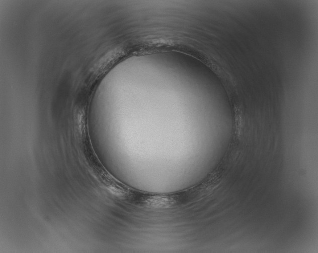 X0000076340123200610201744