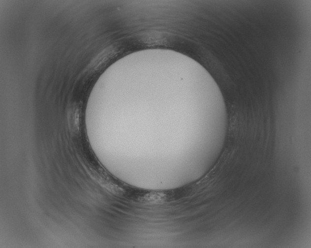 X0000076340124200610201744