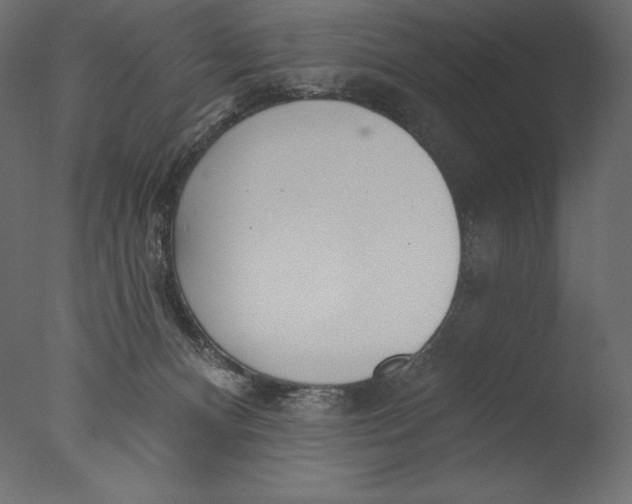 X0000076340128200610201744