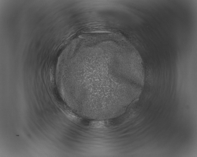 X0000076340131200610201744