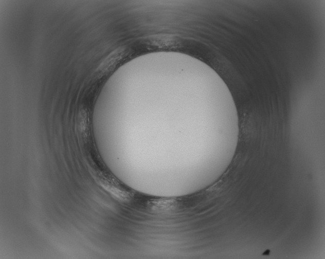 X0000076340132200610201744