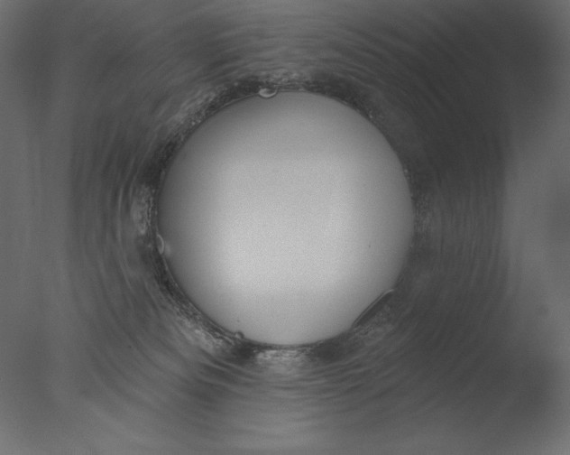 X0000076340133200610201744