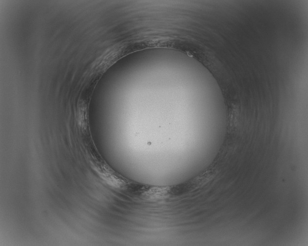 X0000076340138200610201744