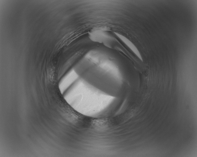 X0000076340139200610201744