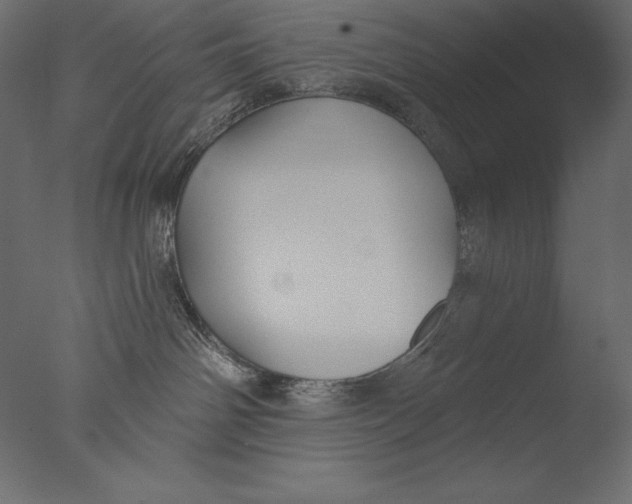 X0000076340142200610201744