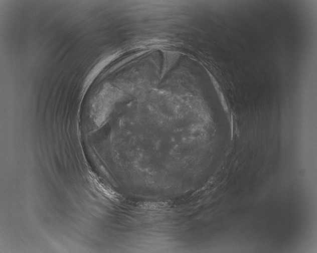 X0000076340147200610201743