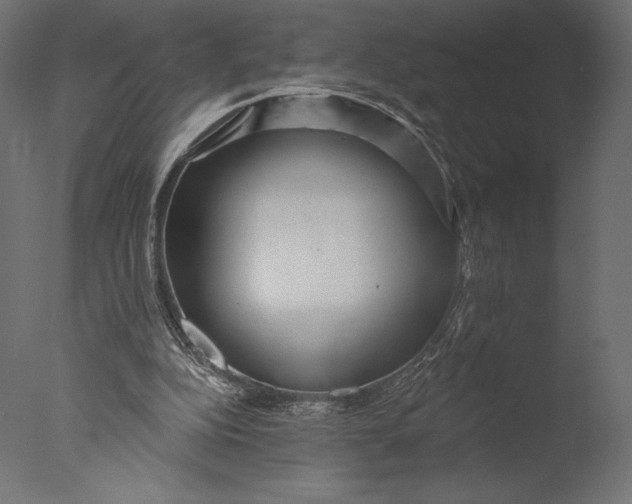 X0000076340152200610201743