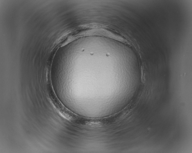 X0000076340157200610201743