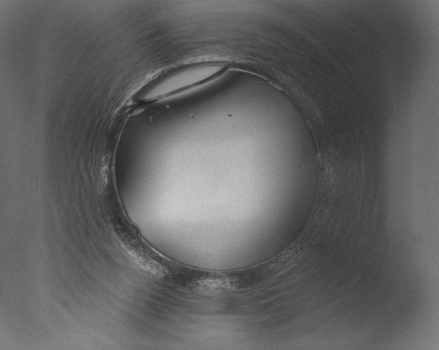 X0000076340160200610201743