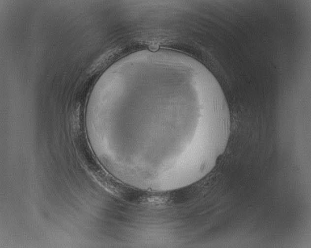 X0000076340163200610201743