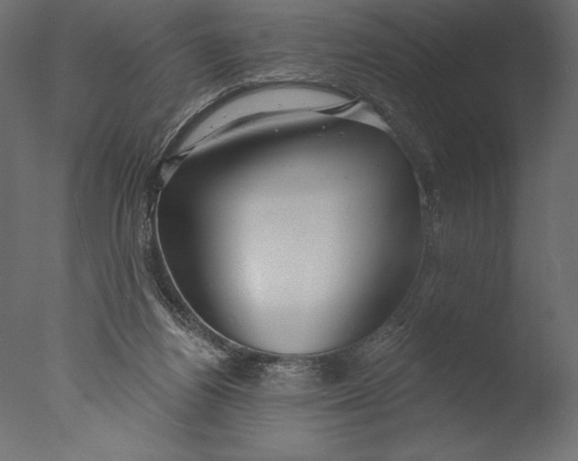 X0000076340164200610201743