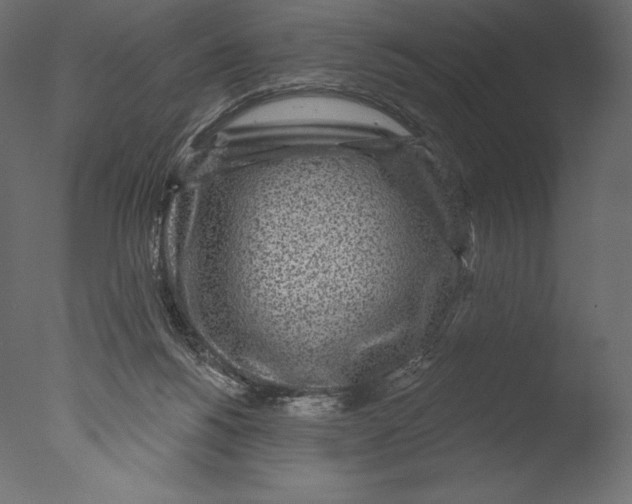 X0000076340168200610201743