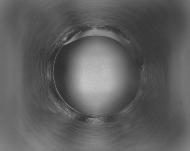X0000076340170200610201743