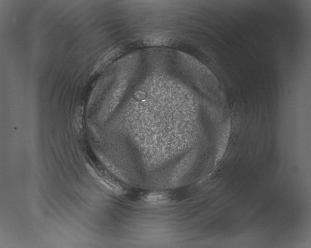 X0000076340171200610201743