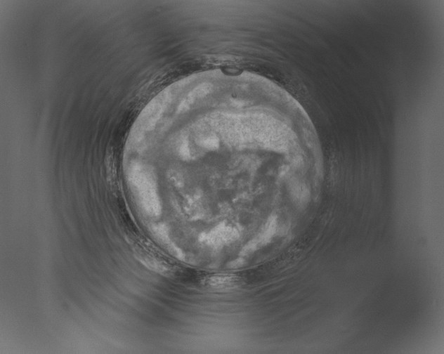 X0000076340173200610201743