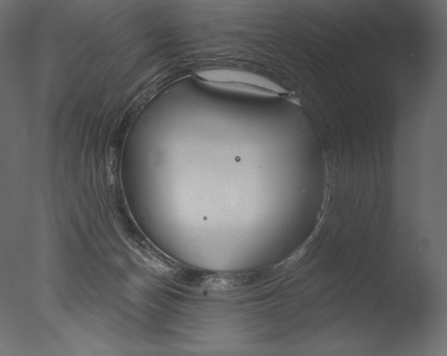 X0000076340174200610201743