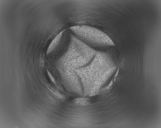 X0000076340179200610201744