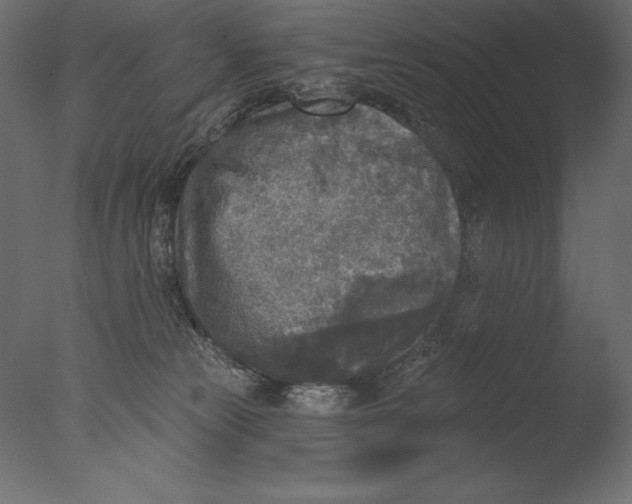 X0000076340181200610201744