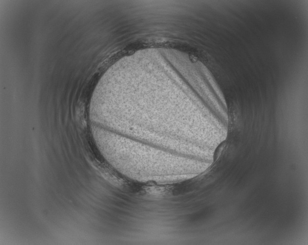 X0000076340187200610201744