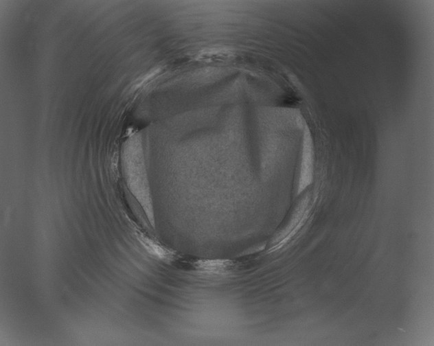 X0000076340192200610201744