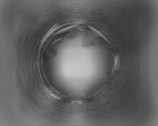 X0000076340195200610201743