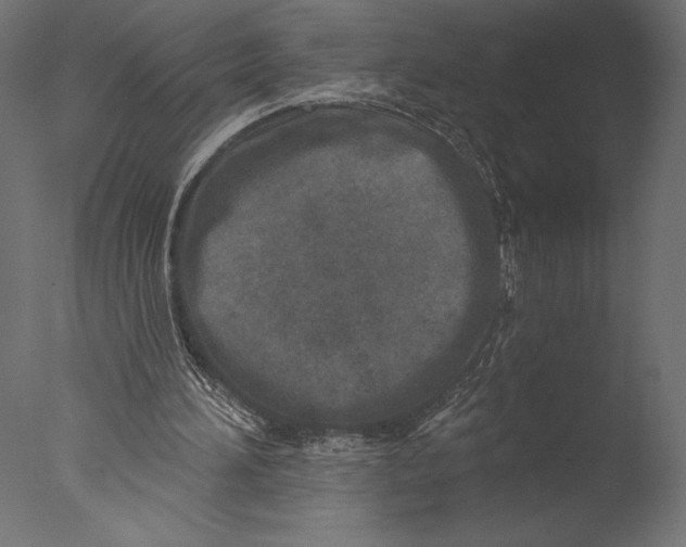 X0000076340196200610201743