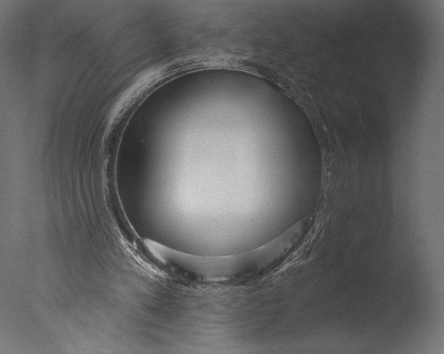 X0000076340197200610201743