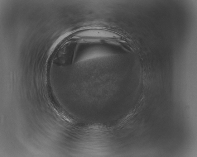 X0000076340200200610201743