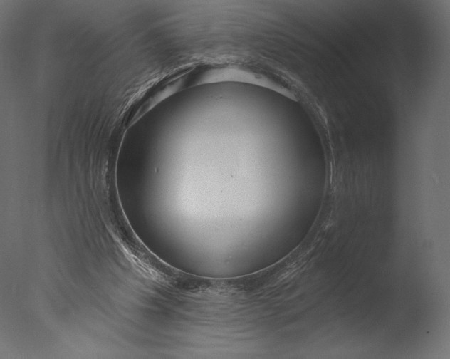 X0000076340201200610201743