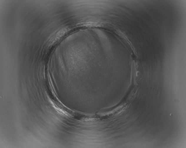 X0000076340205200610201743