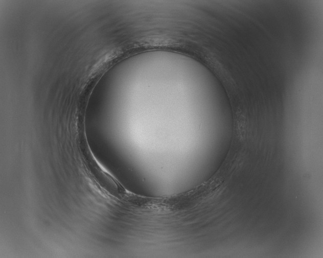 X0000076340207200610201743