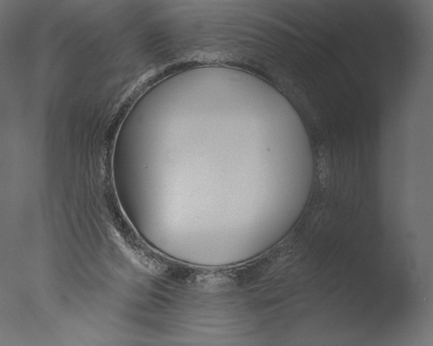 X0000076340208200610201743