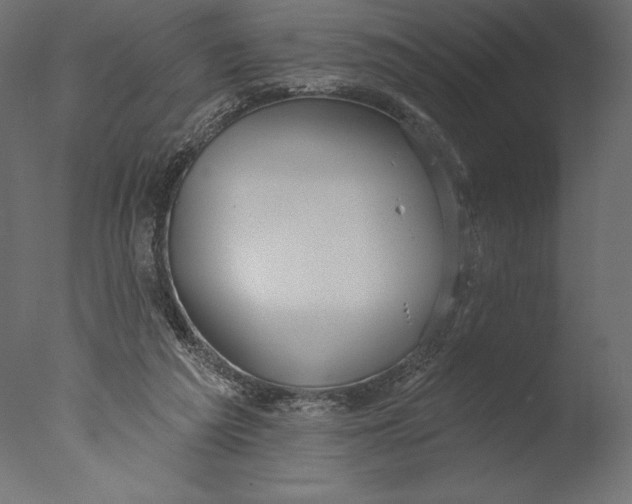 X0000076340209200610201743