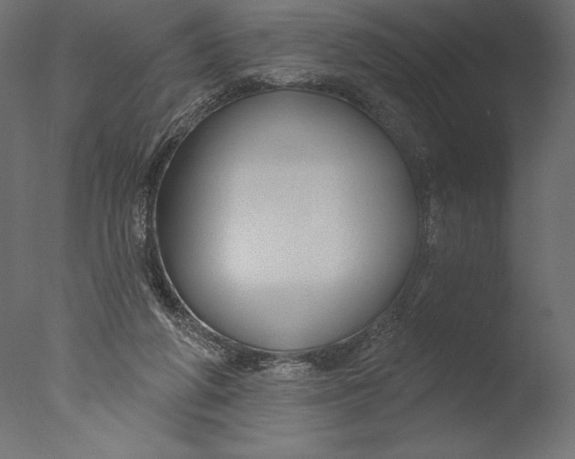 X0000076340210200610201743