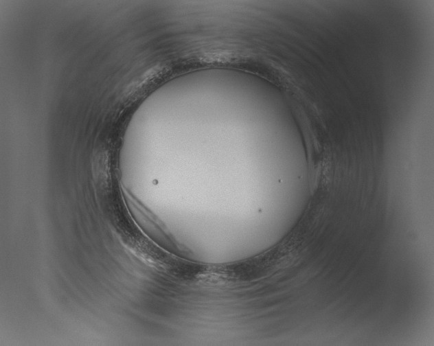 X0000076340211200610201743