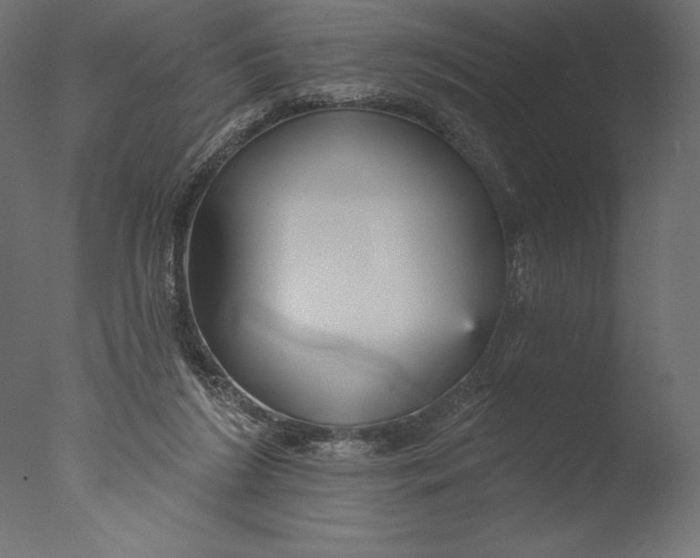 X0000076340212200610201743