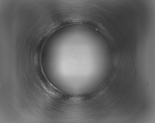 X0000076340213200610201743