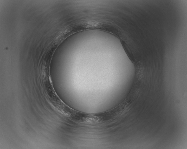 X0000076340215200610201743