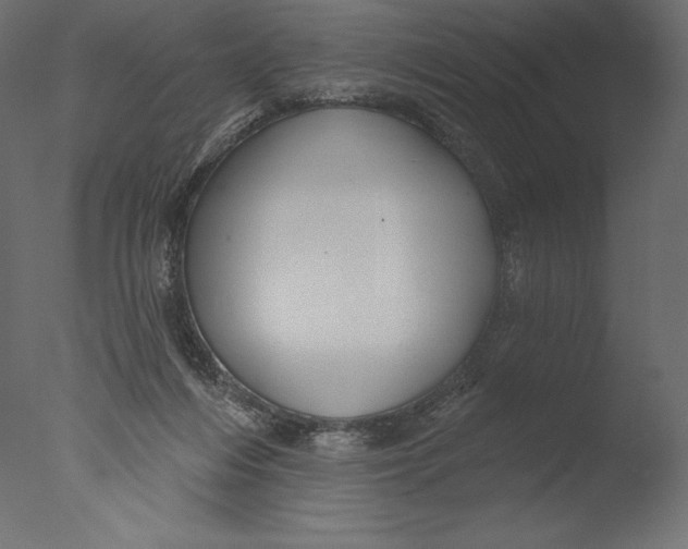 X0000076340216200610201743