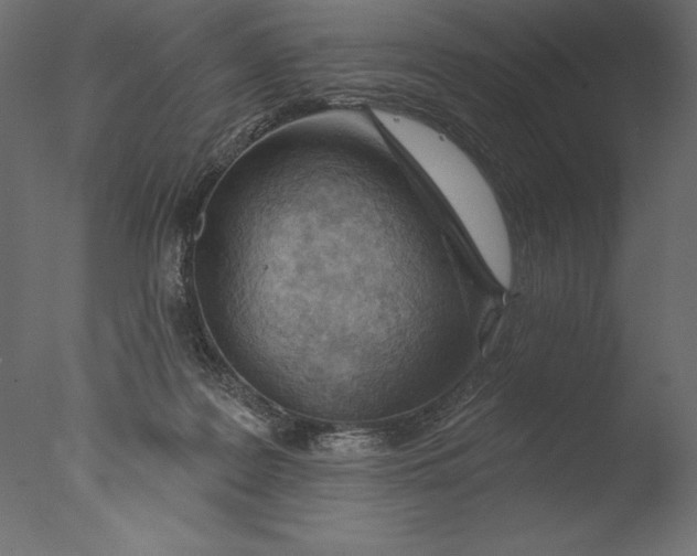 X0000076340219200610201742