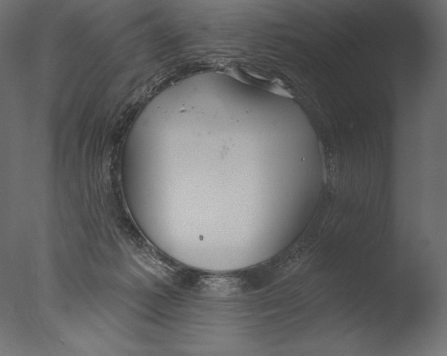 X0000076340221200610201742