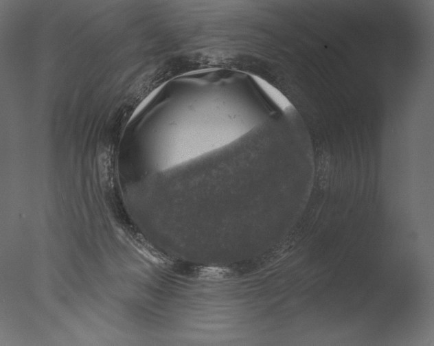 X0000076340222200610201742