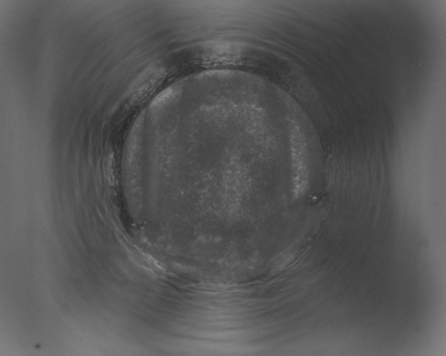 X0000076340224200610201742