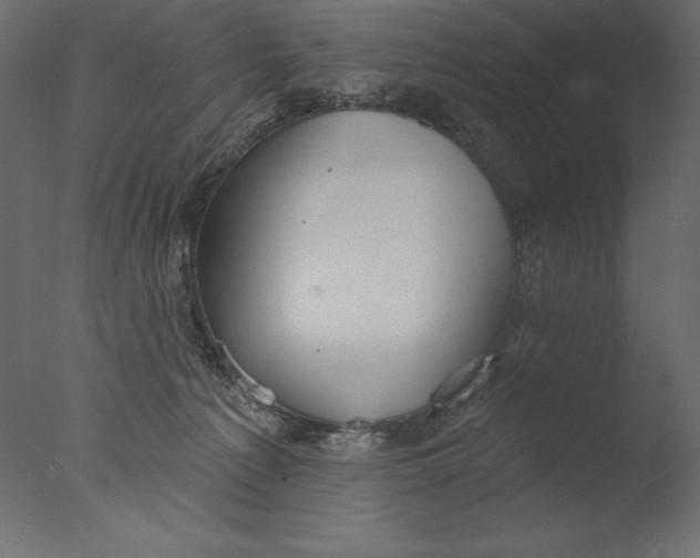 X0000076340225200610201742