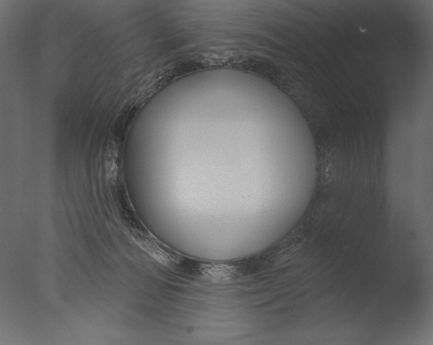 X0000076340226200610201742