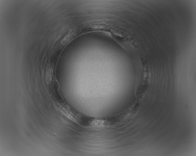 X0000076340227200610201742