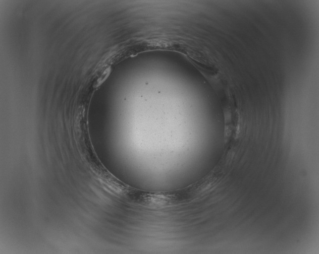 X0000076340229200610201742
