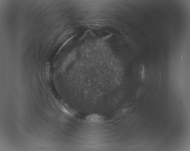 X0000076340231200610201742