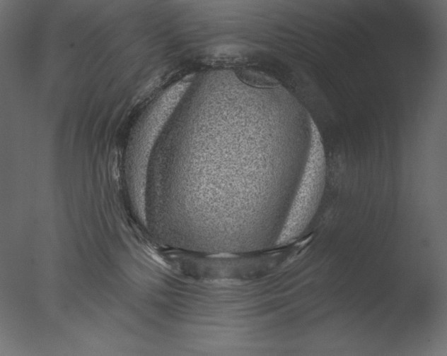 X0000076340232200610201742