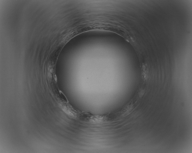 X0000076340235200610201742